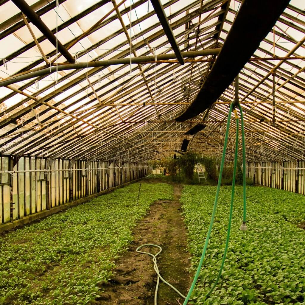 agriculture_1