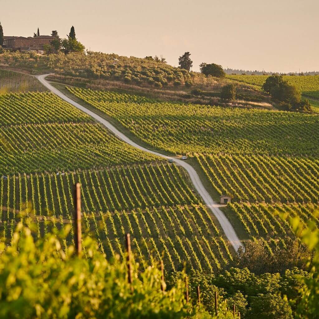 agriculture_5