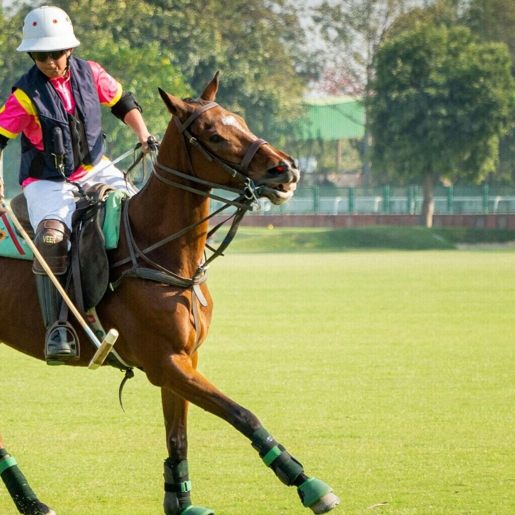 Sport_Turf_2