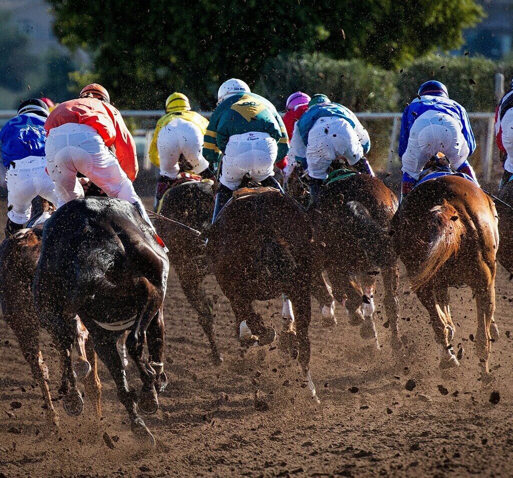 Sport_Turf_4