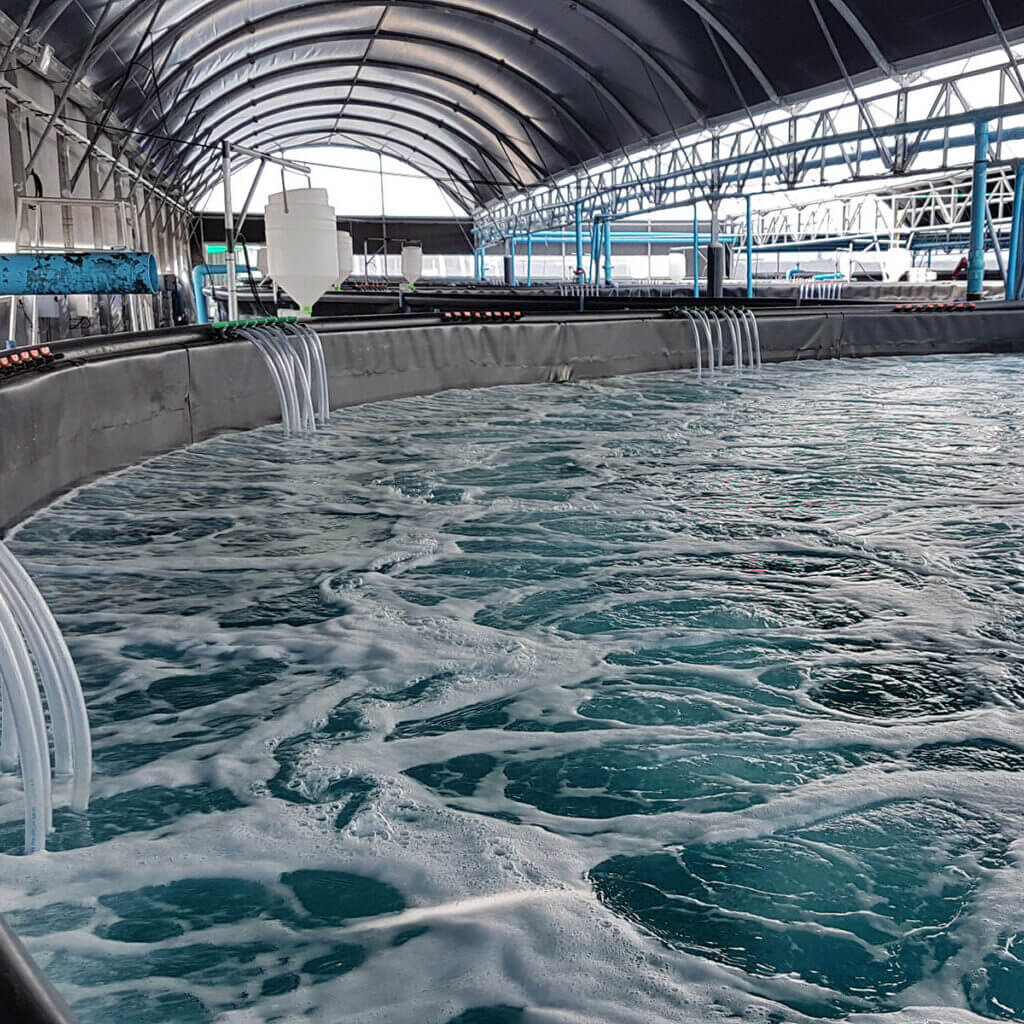 Aquaculture_1