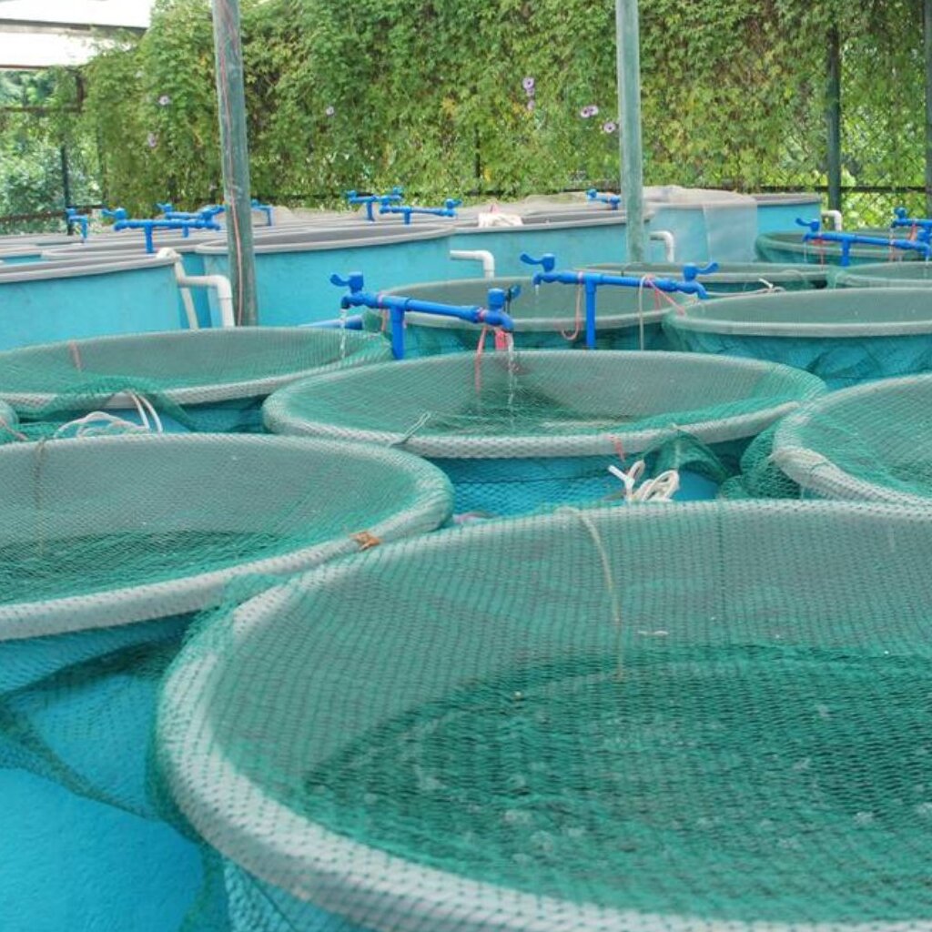 Aquaculture_3