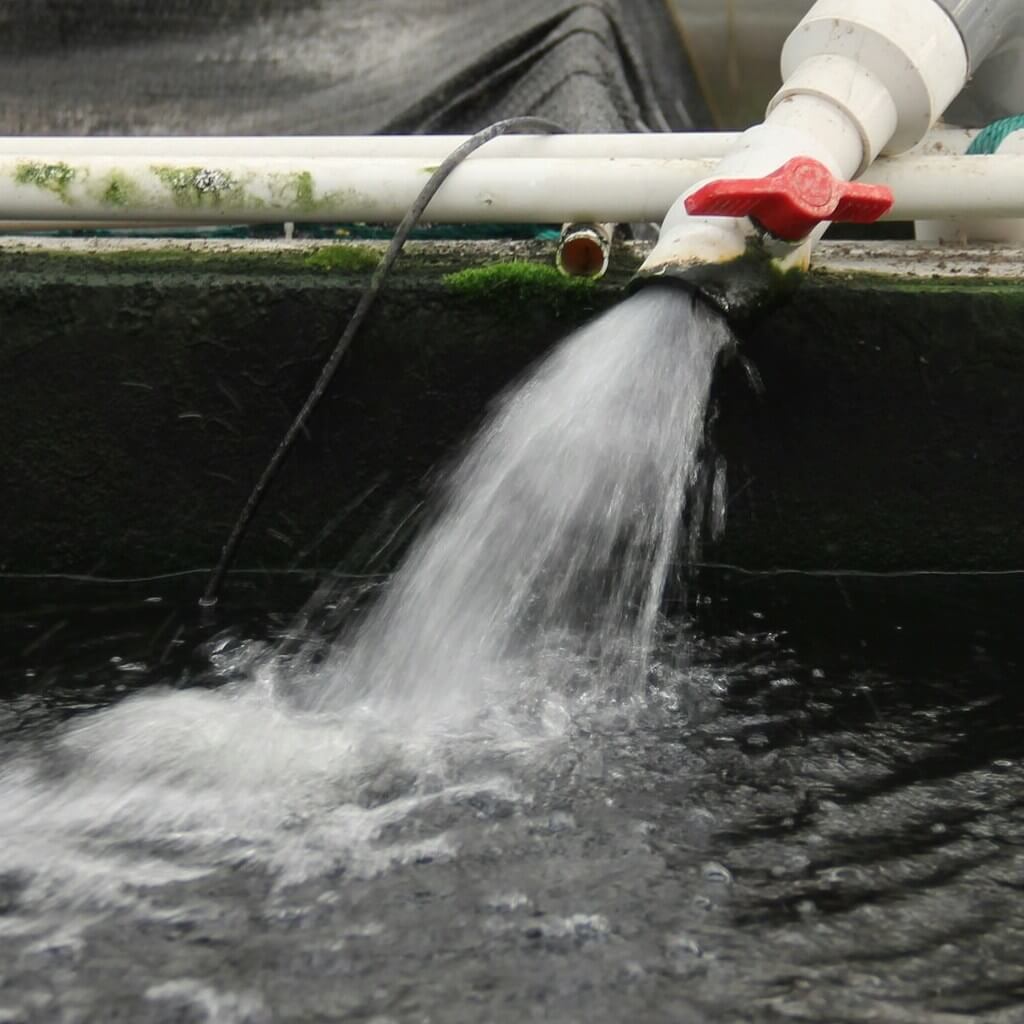 Aquaculture_7